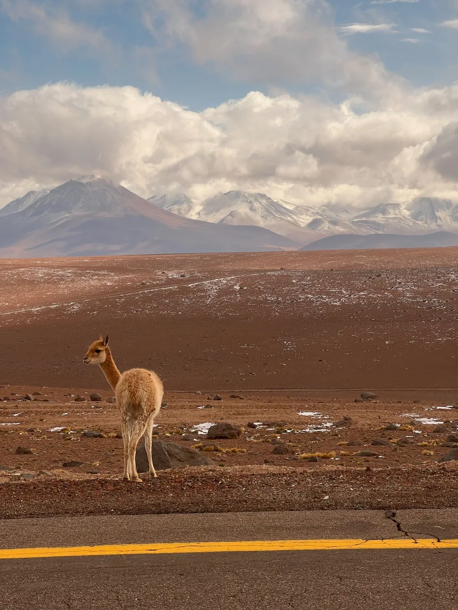 Roteiro Completo — Atacama